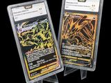 deux cartes à collectionner Pokémon dans des pochettes en plastique, sur fond noir