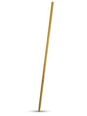 an image of a broom with a wooden handle on a white background