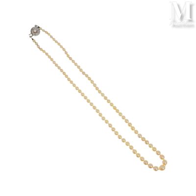 Collier de perles de culture Collier de perles de culture en…