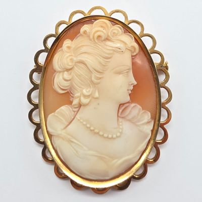 une image représentant le profil d'une femme sur une broche en camée