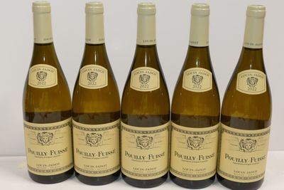 six bouteilles de vin sont alignées sur une surface blanche