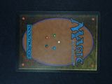 an image of a magic the gathering trading card