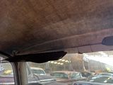 a dog sitting in a car with its head out the window