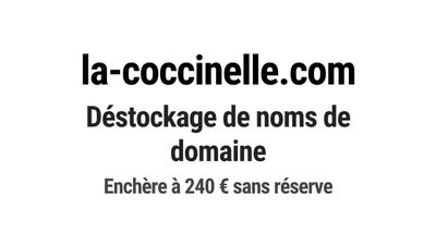 Nom de domaine la-coccinelle.com.