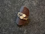 an image of a ring that is on top of a stone