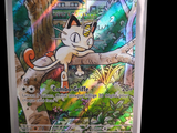 a picture of a pokemon card with a cat on it