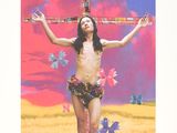 a picture of a woman with a cross in a field