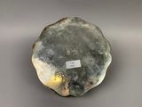 an image of a rock with a tag on it