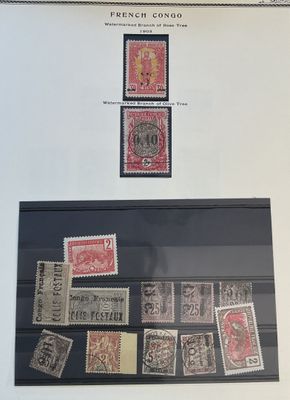 une vieille photo montrant une collection de timbres exposée dans une vitrine