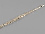 a silver flute with a flute case on a gray background