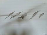 quatre oiseaux volant au-dessus d'un plan d'eau