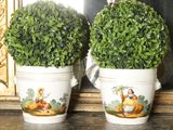 deux plantes en pot posées sur une étagère à côté d'un miroir