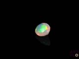 an oplite in the dark with its reflection on the ground