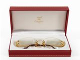 an image of a pair of glasses in a red box
