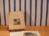 a book that is sitting on a table next to a book