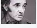 Photo 1/1 du lot