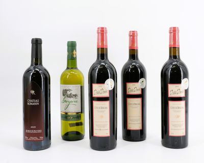5 B Varia : 3 B Côtes de Bergerac Petit Paris 2002 + 1 B Ch …