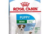 Alimentation Royal Canin pour mini-chiots