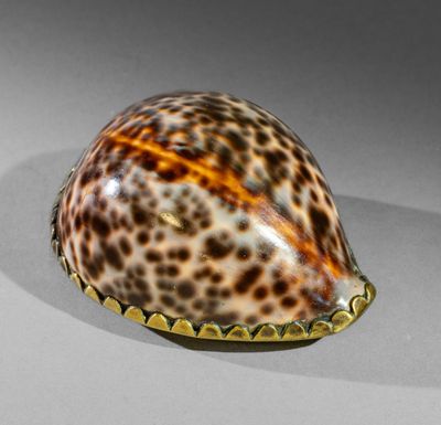 une coque à imprimé animalier posée sur une surface blanche