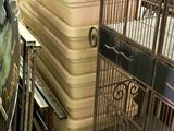 many cages with birds inside of them in a store