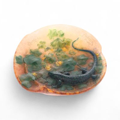 un petit lézard perché sur un coquillage