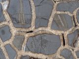 a giraffe that is standing on a stone floor