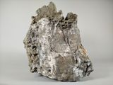 an image of a piece of rock on a white surface