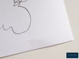 Photo 6/8 du lot