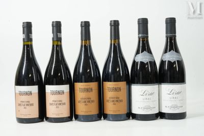 six bouteilles de vin sont alignées sur une surface blanche