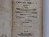 Photo 2/2 du lot