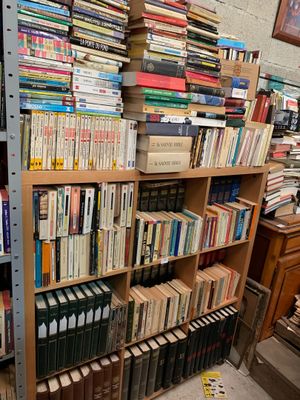 Lot de livres : Littérature, Histoire et divers