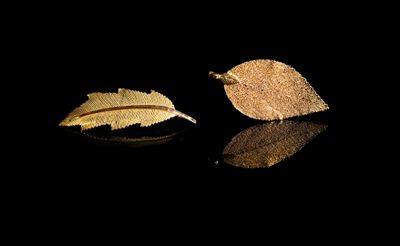 Broche feuillagée en or 18K. Poinçon tête d'aigle. - Photo 1