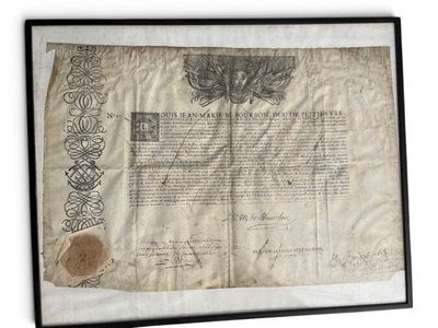 the declaration of the united states of america is displayed in a black frame