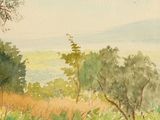 a watercolor painting of a view of a field and trees