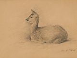 dessin représentant un cerf couché par terre, la tête tournée sur le côté