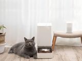 a cat that is laying down next to a food dispenser