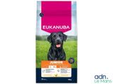 Croquettes pour chien euk junior à l'agneau et au riz, pour grandes races