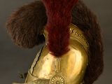 a gold helmet with a red feather on it