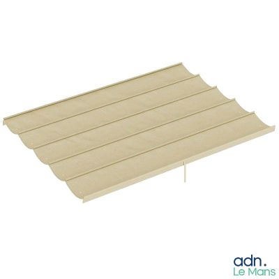 un gros plan d'une feuille de bois sur fond blanc