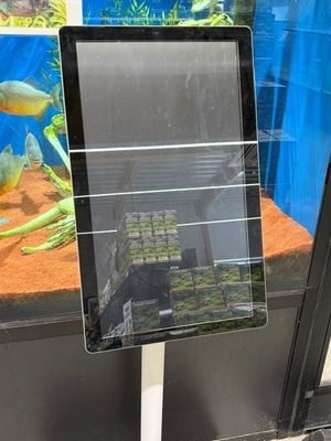 Ils regardent les poissons de l'aquarium à travers la vitre.