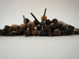 a pile of nuts that are sitting on the ground