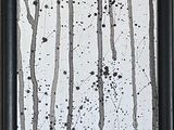 une photo d'un tableau représentant un taureau dans les bois