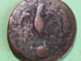 a coin with a bird on it on a green surface