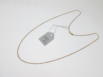 gros plan d'un collier auquel est attachée une étiquette