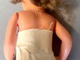 a doll that is wearing a diaper and panties