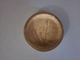 a picture of a small bowl with a plant in it