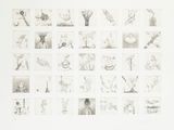 a picture of a bunch of drawings on the wall