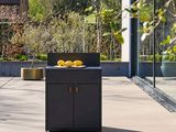 une photo d'une cuisine d'extérieur moderne avec des fruits posés sur le plan de travail