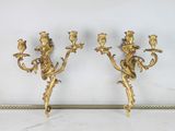 pair of antique brass wall sconces with birds and flowers
