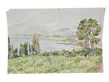 watercolor painting of a view of a lake with trees in the foreground